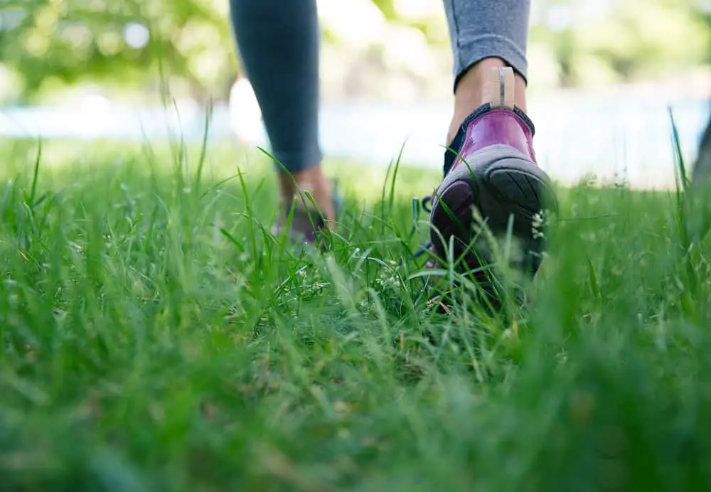 Can the Average Person Walk a Marathon